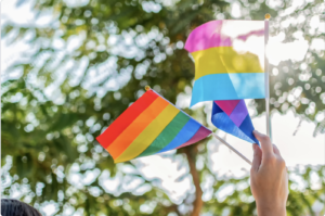 LGBTIQA+ flags being held in the air with trees in the background.